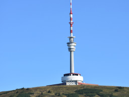 Jesenický maraton 2021. Autor: Milan Zach