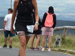 Jesenický maraton 2021. Autor: Milan Zach