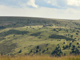 Jesenický maraton 2021. Autor: Milan Zach