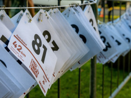 Jesenický maraton 2023. Autor: Daniel Nováček (https://eu.zonerama.com/DNdanfoto)