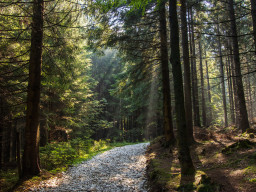 Jesenický maraton 2023. Autor: Daniel Nováček (https://eu.zonerama.com/DNdanfoto)