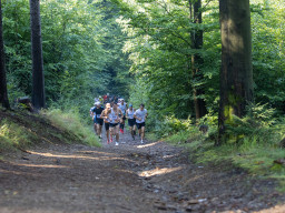 Jesenický maraton 2023. Autor: Daniel Nováček (https://eu.zonerama.com/DNdanfoto)