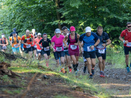 Jesenický maraton 2023. Autor: Daniel Nováček (https://eu.zonerama.com/DNdanfoto)