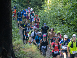 Jesenický maraton 2023. Autor: Daniel Nováček (https://eu.zonerama.com/DNdanfoto)