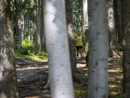 Jesenický maraton 2023. Autor: Daniel Nováček (https://eu.zonerama.com/DNdanfoto)