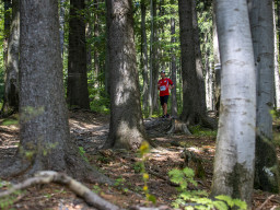 Jesenický maraton 2023. Autor: Daniel Nováček (https://eu.zonerama.com/DNdanfoto)