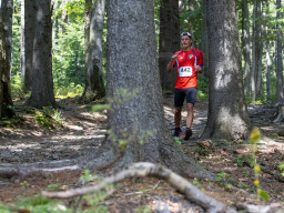 Jesenický maraton 2023. Autor: Daniel Nováček (https://eu.zonerama.com/DNdanfoto)