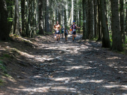 Jesenický maraton 2023. Autor: Daniel Nováček (https://eu.zonerama.com/DNdanfoto)