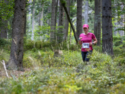 Jesenický maraton 2023. Autor: Daniel Nováček (https://eu.zonerama.com/DNdanfoto)
