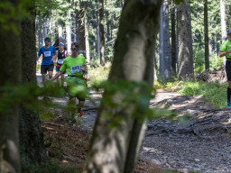 Jesenický maraton 2023. Autor: Daniel Nováček (https://eu.zonerama.com/DNdanfoto)