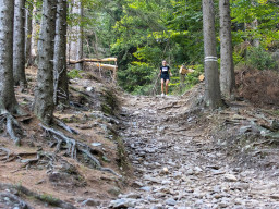 Jesenický maraton 2023. Autor: Daniel Nováček (https://eu.zonerama.com/DNdanfoto)