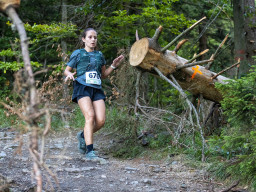 Jesenický maraton 2023. Autor: Daniel Nováček (https://eu.zonerama.com/DNdanfoto)