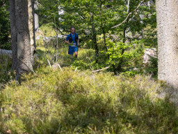 Jesenický maraton 2023. Autor: Daniel Nováček (https://eu.zonerama.com/DNdanfoto)