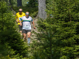 Jesenický maraton 2023. Autor: Daniel Nováček (https://eu.zonerama.com/DNdanfoto)