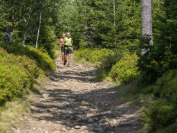 Jesenický maraton 2023. Autor: Daniel Nováček (https://eu.zonerama.com/DNdanfoto)