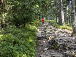 Jesenický maraton 2023. Autor: Daniel Nováček (https://eu.zonerama.com/DNdanfoto)