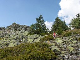 Jesenický maraton 2023. Autor: Daniel Nováček (https://eu.zonerama.com/DNdanfoto)
