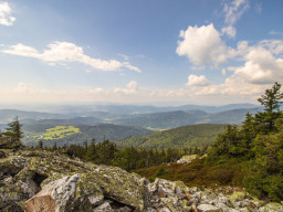 Jesenický maraton 2023. Autor: Daniel Nováček (https://eu.zonerama.com/DNdanfoto)