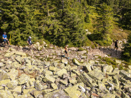 Jesenický maraton 2023. Autor: Daniel Nováček (https://eu.zonerama.com/DNdanfoto)