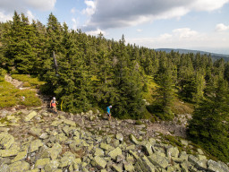 Jesenický maraton 2023. Autor: Daniel Nováček (https://eu.zonerama.com/DNdanfoto)