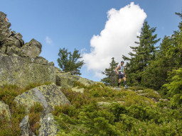 Jesenický maraton 2023. Autor: Daniel Nováček (https://eu.zonerama.com/DNdanfoto)
