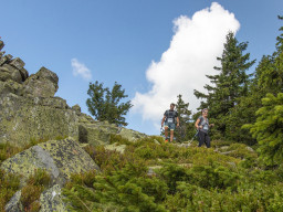 Jesenický maraton 2023. Autor: Daniel Nováček (https://eu.zonerama.com/DNdanfoto)