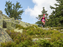 Jesenický maraton 2023. Autor: Daniel Nováček (https://eu.zonerama.com/DNdanfoto)