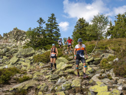 Jesenický maraton 2023. Autor: Daniel Nováček (https://eu.zonerama.com/DNdanfoto)