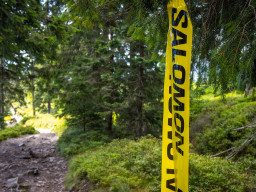 Jesenický maraton 2023. Autor: Daniel Nováček (https://eu.zonerama.com/DNdanfoto)