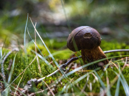 Jesenický maraton 2023. Autor: Daniel Nováček (https://eu.zonerama.com/DNdanfoto)