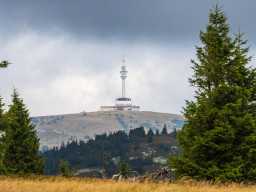 Jesenický maraton 2025. Autor: Daniel Nováček (https://eu.zonerama.com/DNdanfoto)