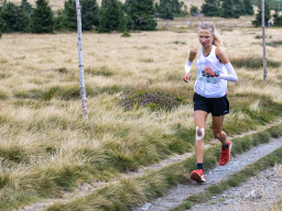 Jesenický maraton 2025. Autor: Daniel Nováček (https://eu.zonerama.com/DNdanfoto)