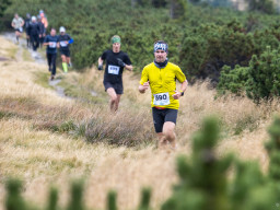 Jesenický maraton 2025. Autor: Daniel Nováček (https://eu.zonerama.com/DNdanfoto)