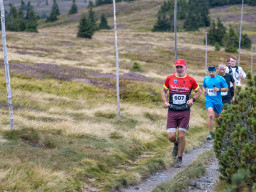 Jesenický maraton 2025. Autor: Daniel Nováček (https://eu.zonerama.com/DNdanfoto)