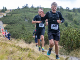 Jesenický maraton 2025. Autor: Daniel Nováček (https://eu.zonerama.com/DNdanfoto)