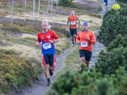 Jesenický maraton 2025. Autor: Daniel Nováček (https://eu.zonerama.com/DNdanfoto)