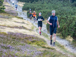 Jesenický maraton 2025. Autor: Daniel Nováček (https://eu.zonerama.com/DNdanfoto)