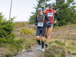 Jesenický maraton 2025. Autor: Daniel Nováček (https://eu.zonerama.com/DNdanfoto)