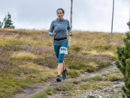 Jesenický maraton 2025. Autor: Daniel Nováček (https://eu.zonerama.com/DNdanfoto)