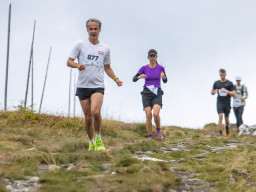 Jesenický maraton 2025. Autor: Daniel Nováček (https://eu.zonerama.com/DNdanfoto)