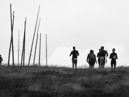 Jesenický maraton 2025. Autor: Daniel Nováček (https://eu.zonerama.com/DNdanfoto)