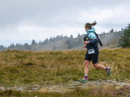 Jesenický maraton 2025. Autor: Daniel Nováček (https://eu.zonerama.com/DNdanfoto)