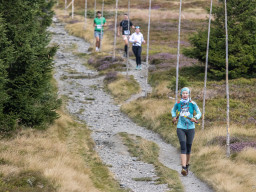 Jesenický maraton 2025. Autor: Daniel Nováček (https://eu.zonerama.com/DNdanfoto)