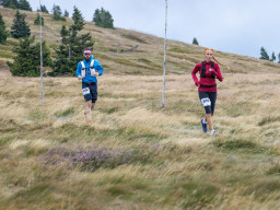Jesenický maraton 2025. Autor: Daniel Nováček (https://eu.zonerama.com/DNdanfoto)