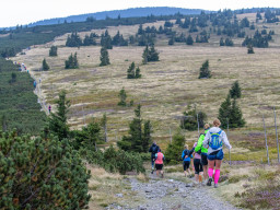 Jesenický maraton 2025. Autor: Daniel Nováček (https://eu.zonerama.com/DNdanfoto)
