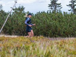 Jesenický maraton 2025. Autor: Daniel Nováček (https://eu.zonerama.com/DNdanfoto)