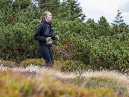 Jesenický maraton 2025. Autor: Daniel Nováček (https://eu.zonerama.com/DNdanfoto)