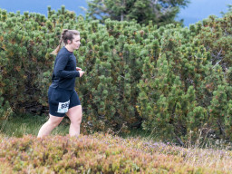 Jesenický maraton 2025. Autor: Daniel Nováček (https://eu.zonerama.com/DNdanfoto)