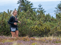 Jesenický maraton 2025. Autor: Daniel Nováček (https://eu.zonerama.com/DNdanfoto)
