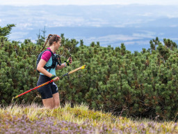 Jesenický maraton 2025. Autor: Daniel Nováček (https://eu.zonerama.com/DNdanfoto)
